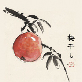 ZAVOD Umeboshi 0,45 банка (20)