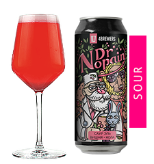 4ПИВОВАРА Dr. Nopain 0,5 банка (12)