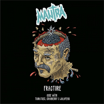 МАНТРА Fracture: Lingonberry & Jalapeno 0,45 банка (20)