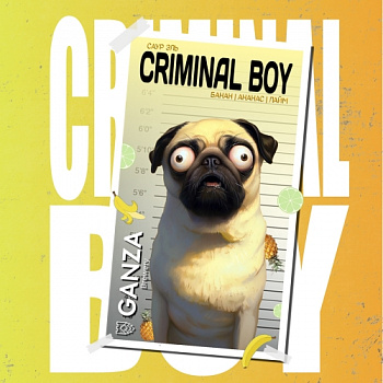 Ганза CRIMINAL BOY 0,45 банка (20)