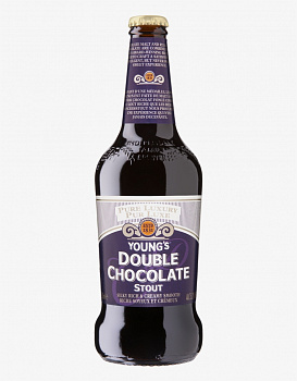 Double Chocolate Stout / Дабл Чоколэт Стаут 0.5 бут. (24)
